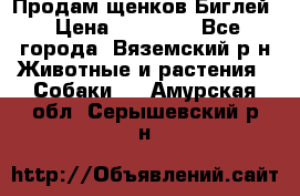 Продам щенков Биглей › Цена ­ 15 000 - Все города, Вяземский р-н Животные и растения » Собаки   . Амурская обл.,Серышевский р-н